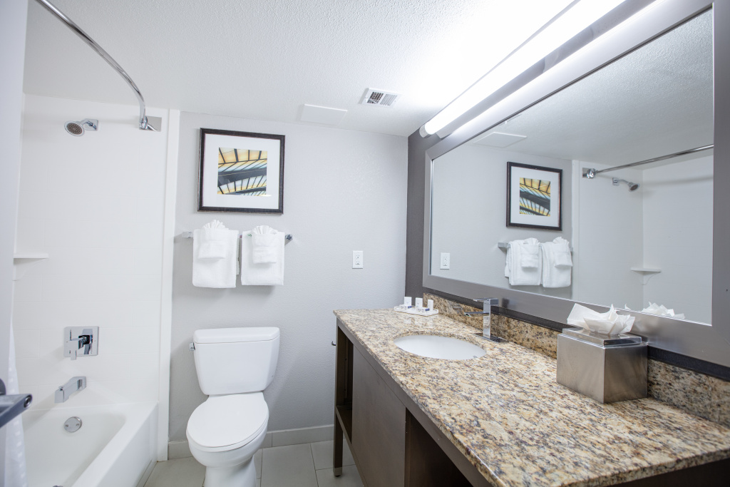 Holiday Inn St Louis SW - Route 66 by IHG - Général