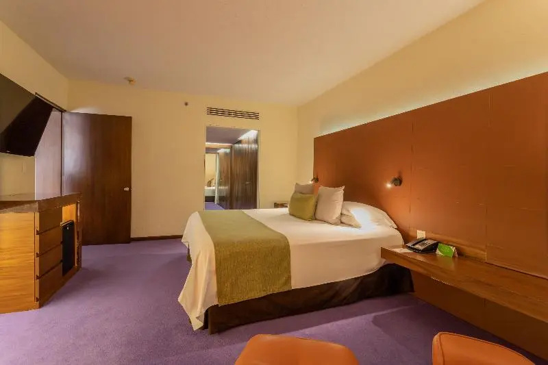 Double Junior Suite (full double bed)