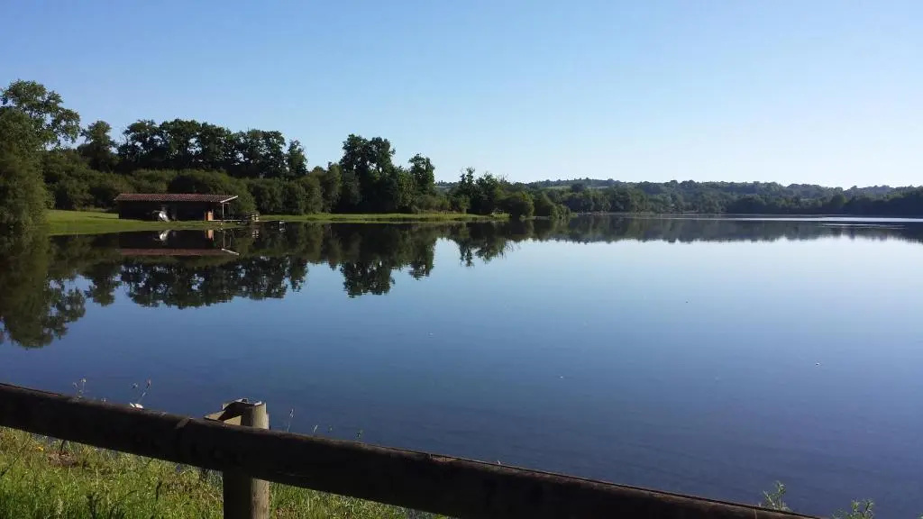 Lake view