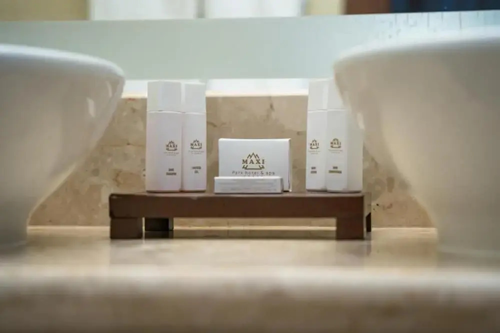Maxi Park Hotel & Spa - Chambres