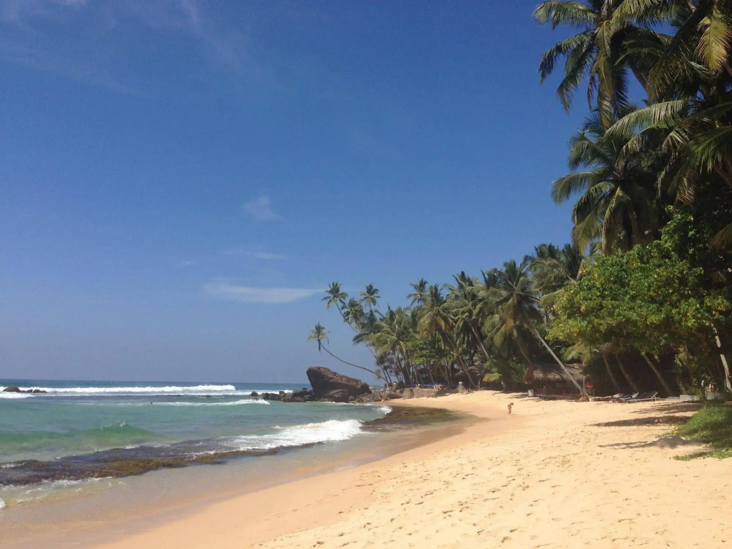 Sayura Beach Hotel - Général