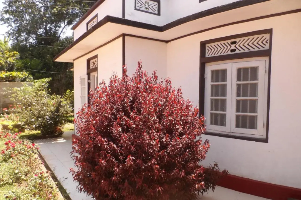 Savana Bungalow & Hostel