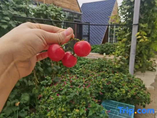 Xiangyue · Garden Family Vacation Courtyard Homestay