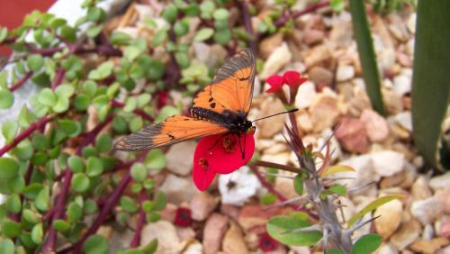 gallery_image_hidden_14