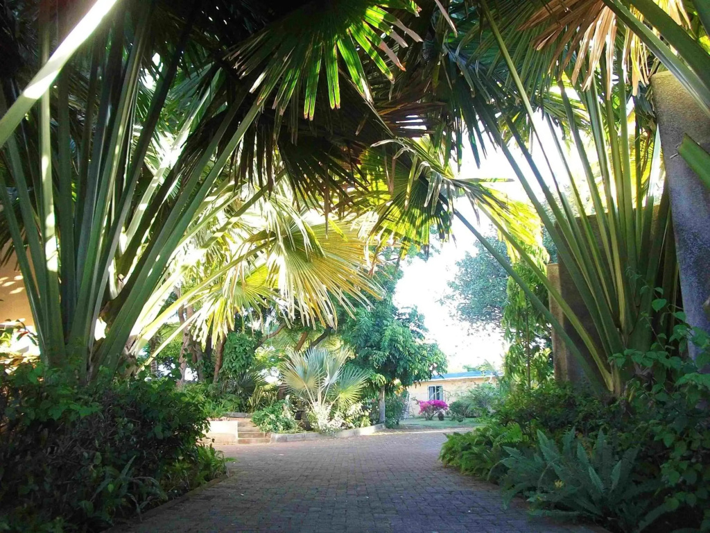 2 bedrooms appartement with shared pool enclosed garden and wifi at Grande Gaube 1 km away from the beach