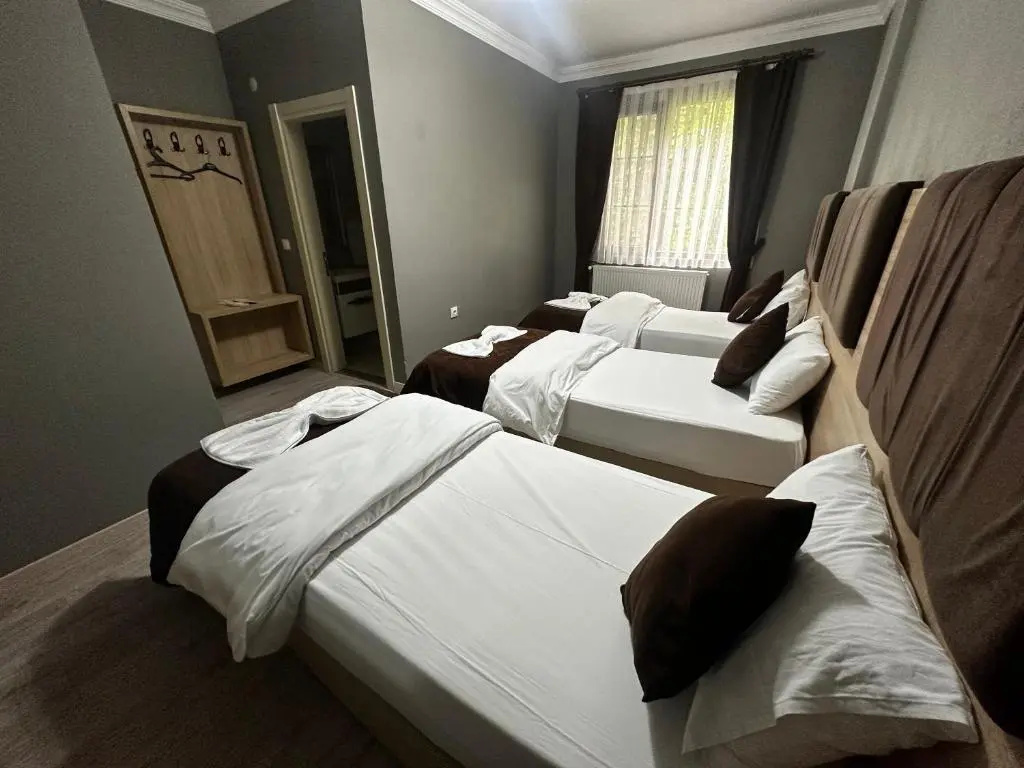 Standard Triple room with balcony
