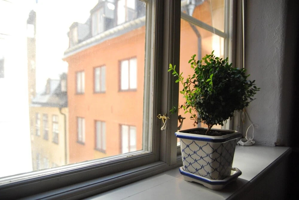 Balcony & Terrace