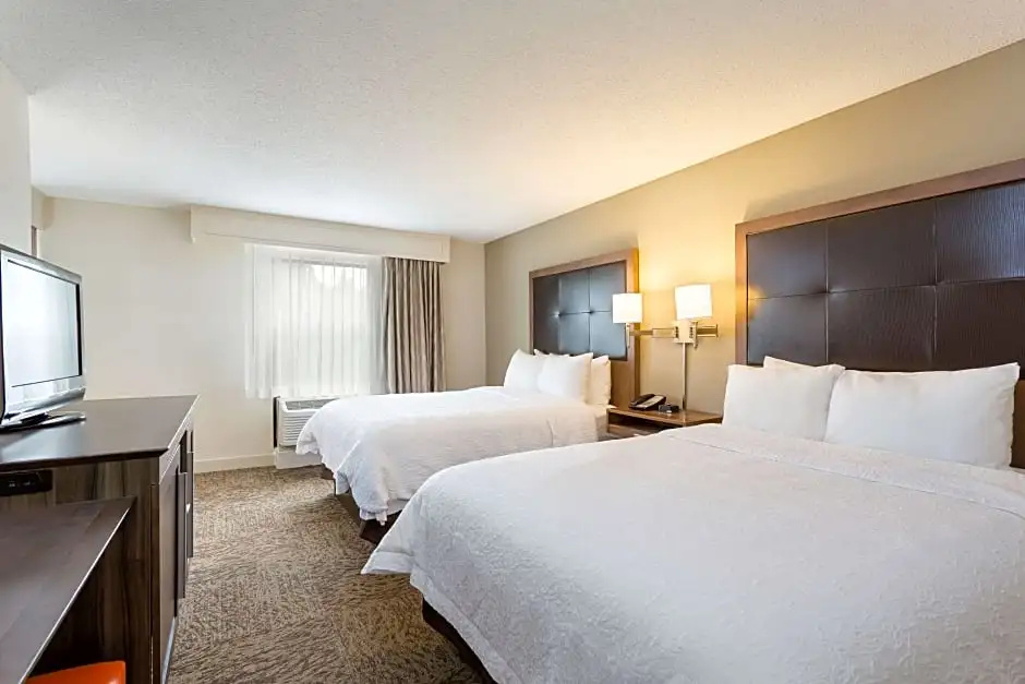 1 Bedroom Suite
