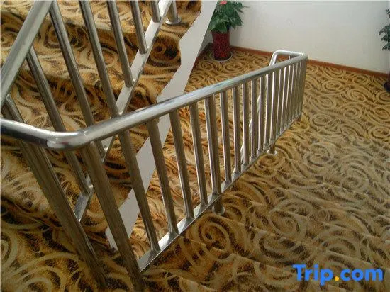 Balcony & Terrace
