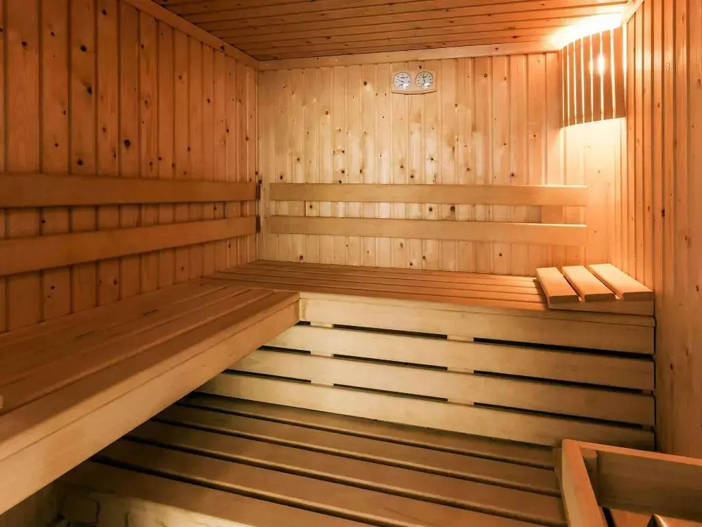 Mercure Saint Nectaire Spa & Bien-être Hotel - Général