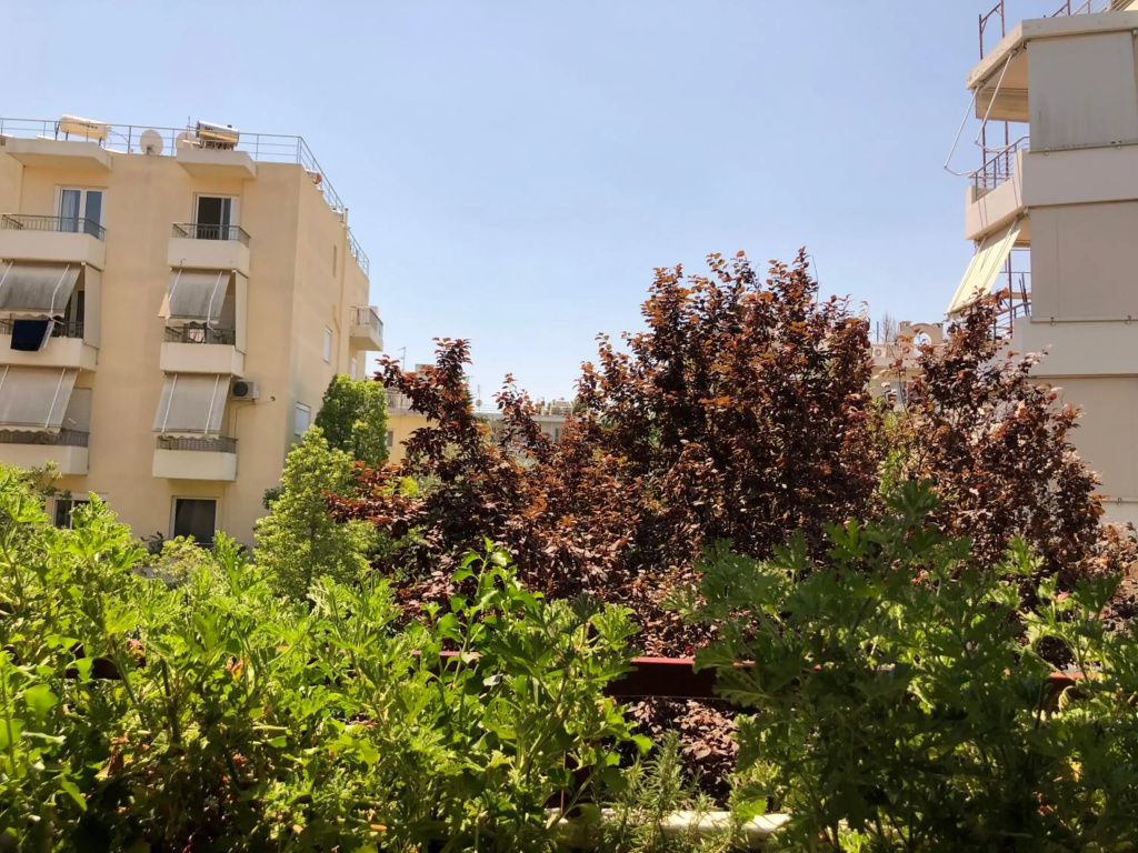 Cosy apartment in Chalandri