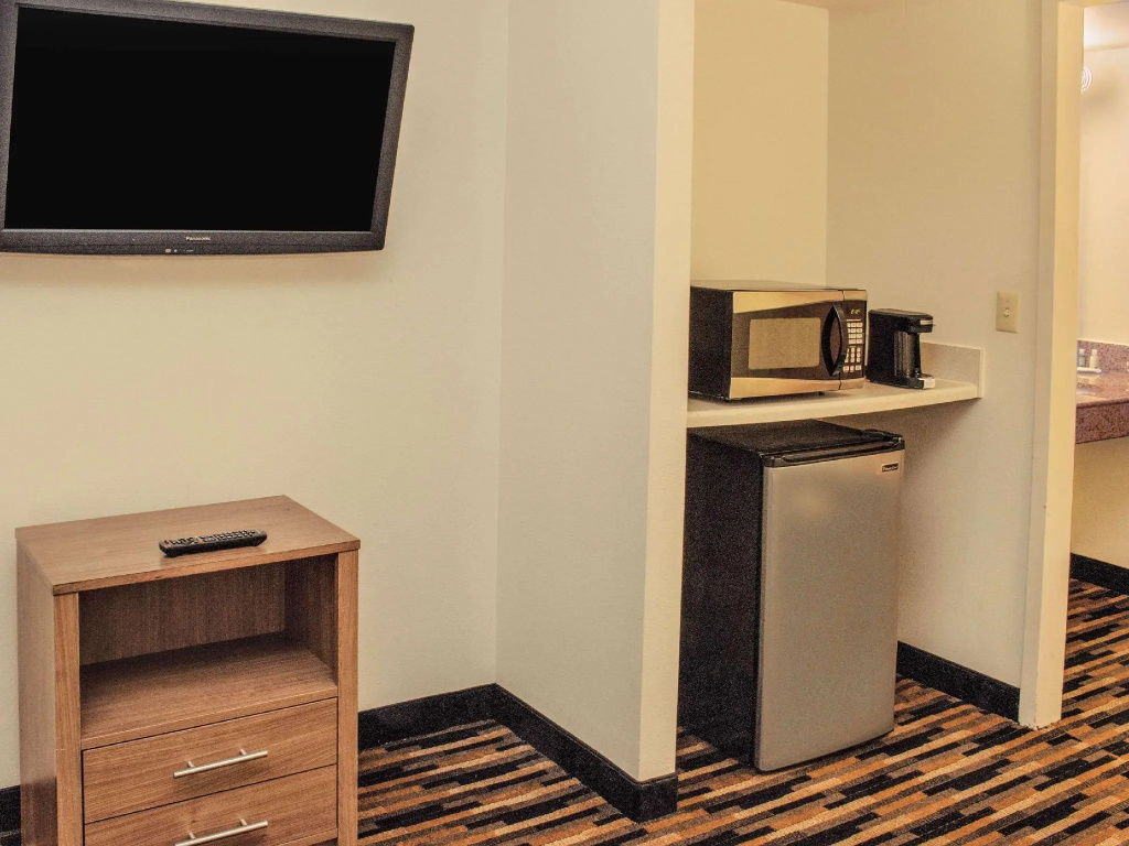 1 Bedroom Suite