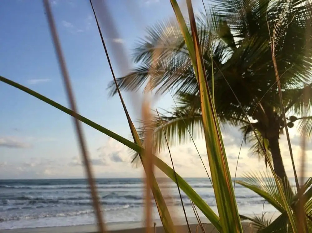 Hotel La Isla - фото 15