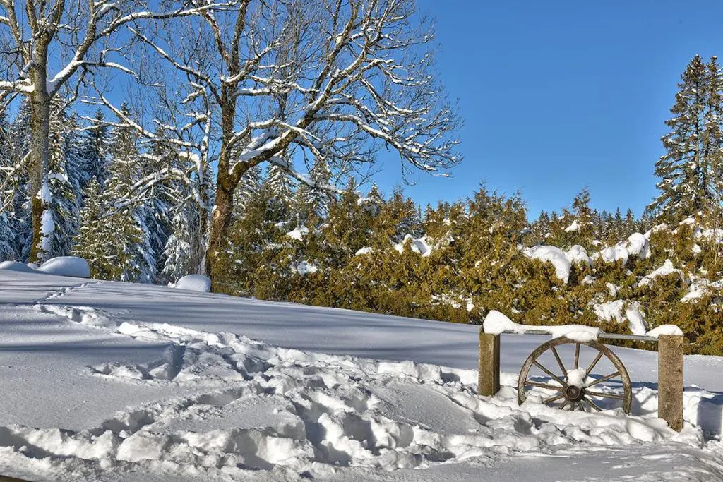 Afficher la photo 6 — Maison idéalement placée vue magnifique, départ ski de fond/Randonnée depuis le jardin