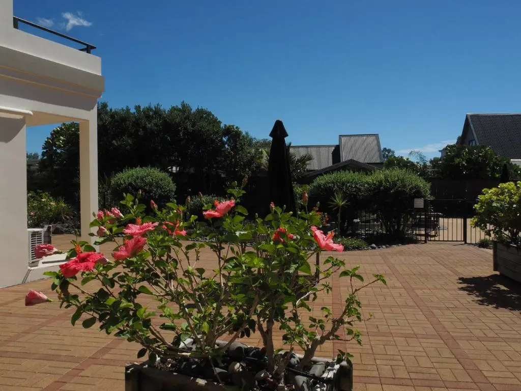 Ocean Breeze Resort - Chambres