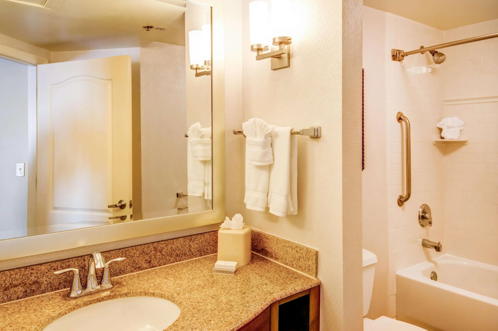 Hilton Garden Inn Tampa Ybor Historic District - Général