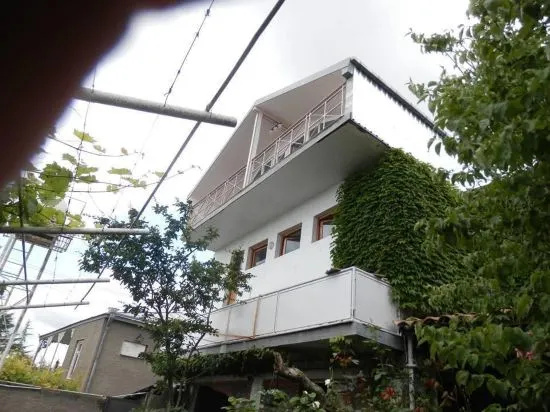 Hotel Neli Telavi