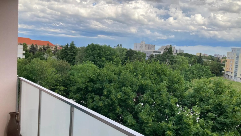Apartment Safarikova