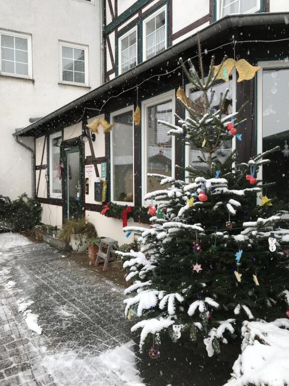 Image 12