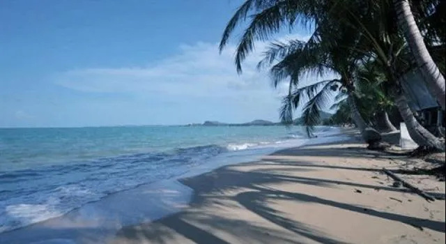 Beach & Waterfront