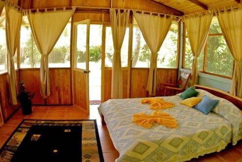 Turtle Beach Lodge by null