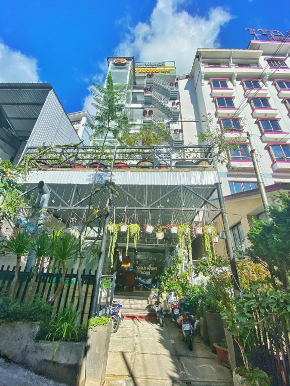 Gold Night Hotel