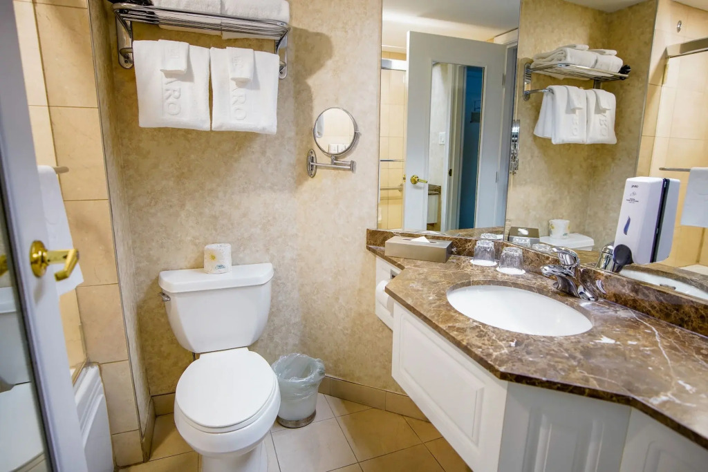 Hôtel Palace Royal Centre-Ville par JARO - фото 25