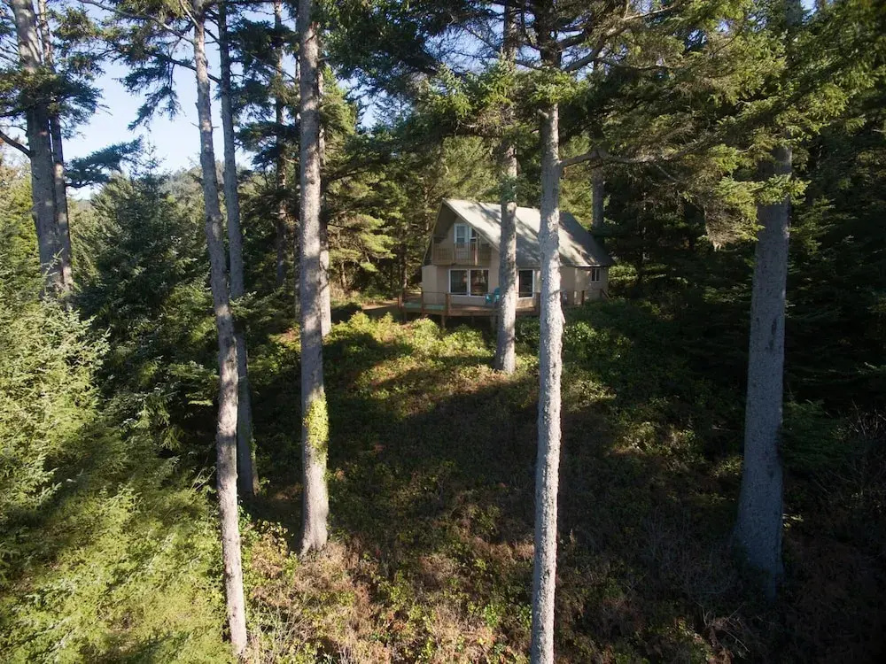 The Cedar House