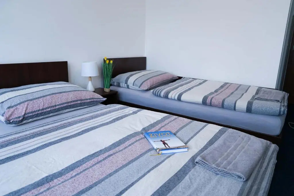 Standard Double room (twin beds)