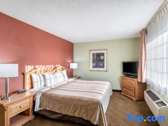 Double Suite (full double bed)