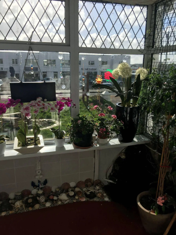 Jasmine House
