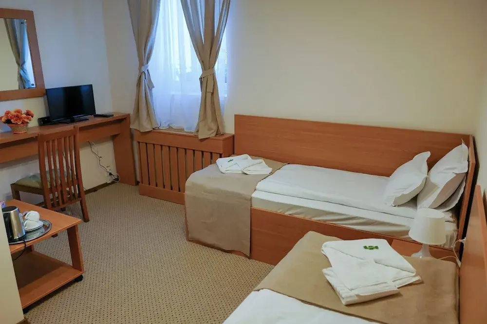 Standard Double room with city view (twin beds)