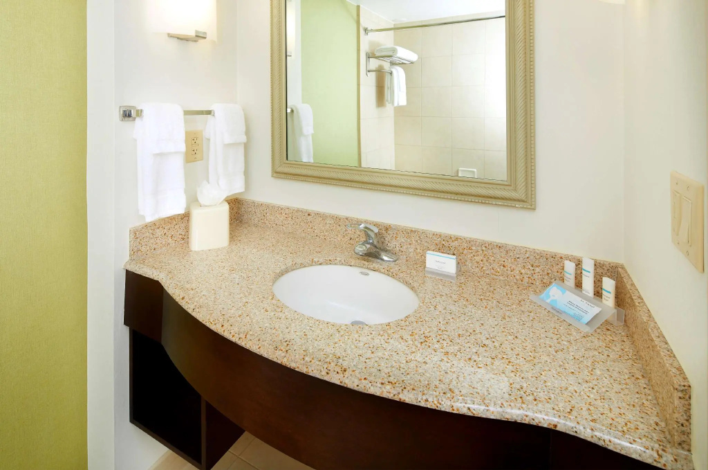 Hilton Garden Inn Savannah Midtown - Chambres