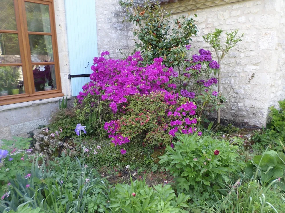 Chez Moutier