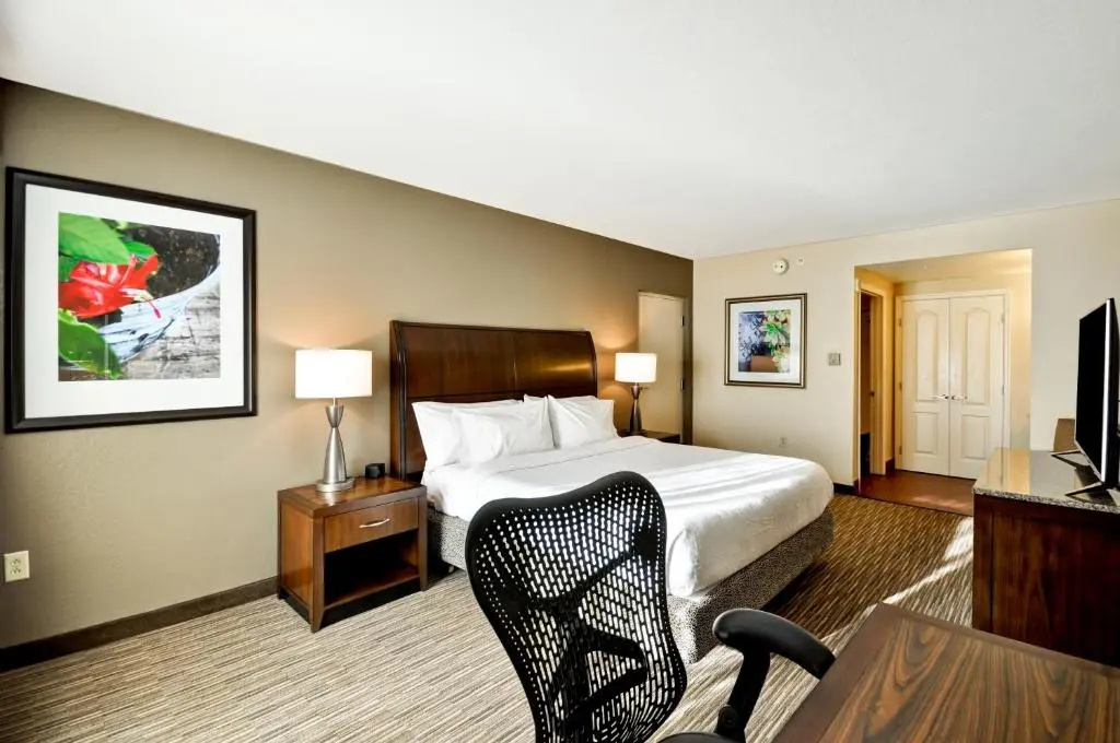 Hilton Garden Inn Tampa North Busch Gardens - Chambres