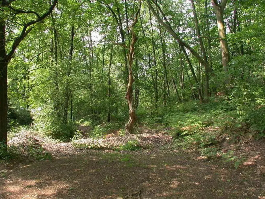 Bungalow in Kempen Forests for Nature Lovers - фото 13