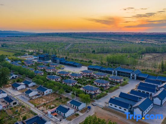 Zhongwei Camel Bells Homestay (Shapotou Scenic Area)