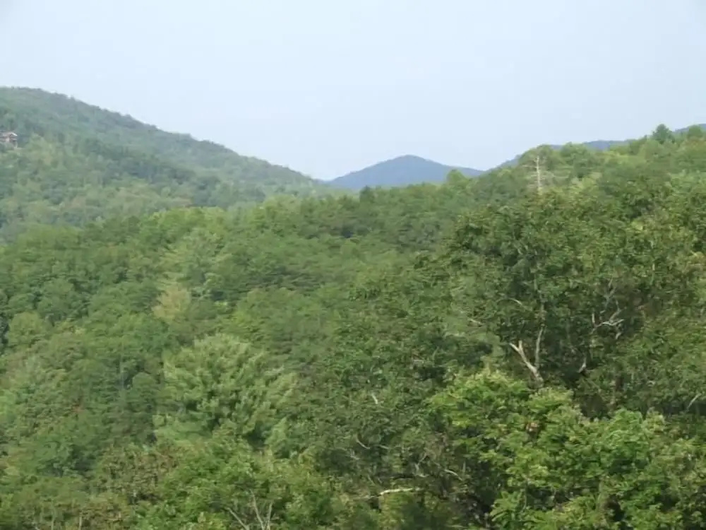 Crockett Trails Nevaeh Cabin Rentals