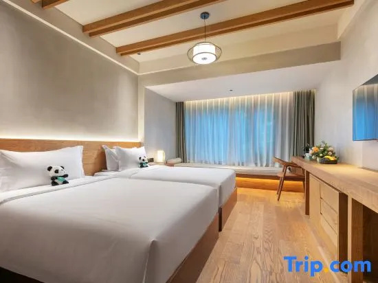 Comfort Double room (twin beds)