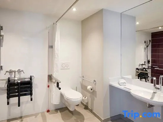Двухместный семейный номер Standard двуспальная кровать в Premier Inn Frankfurt City Centre