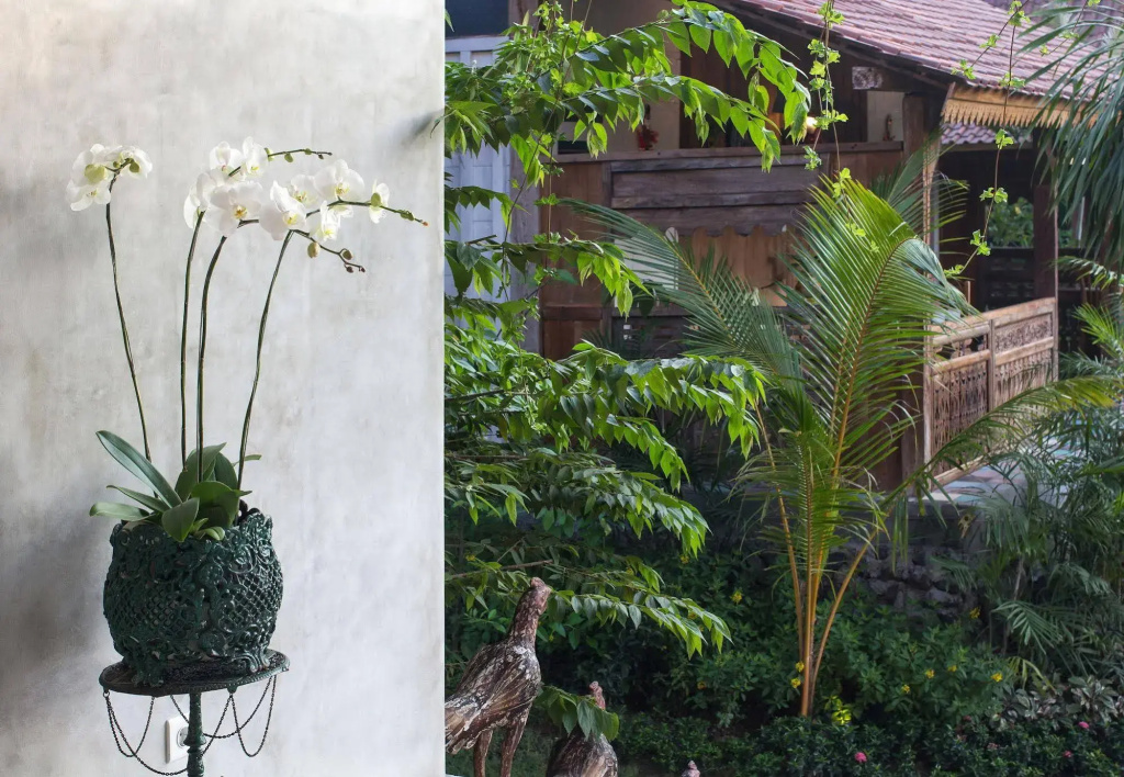 Umakayu Bali
