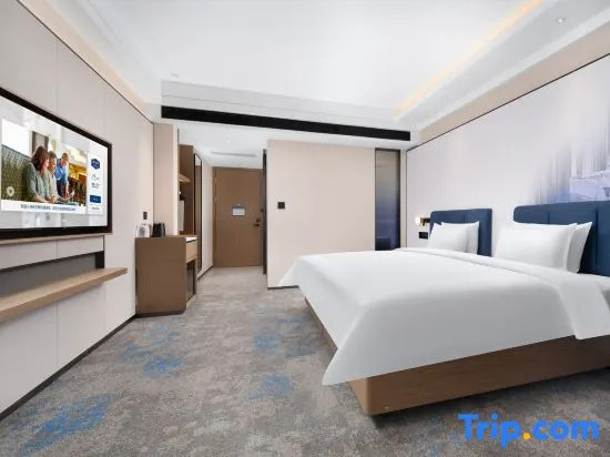 Superior Double room (twin beds)