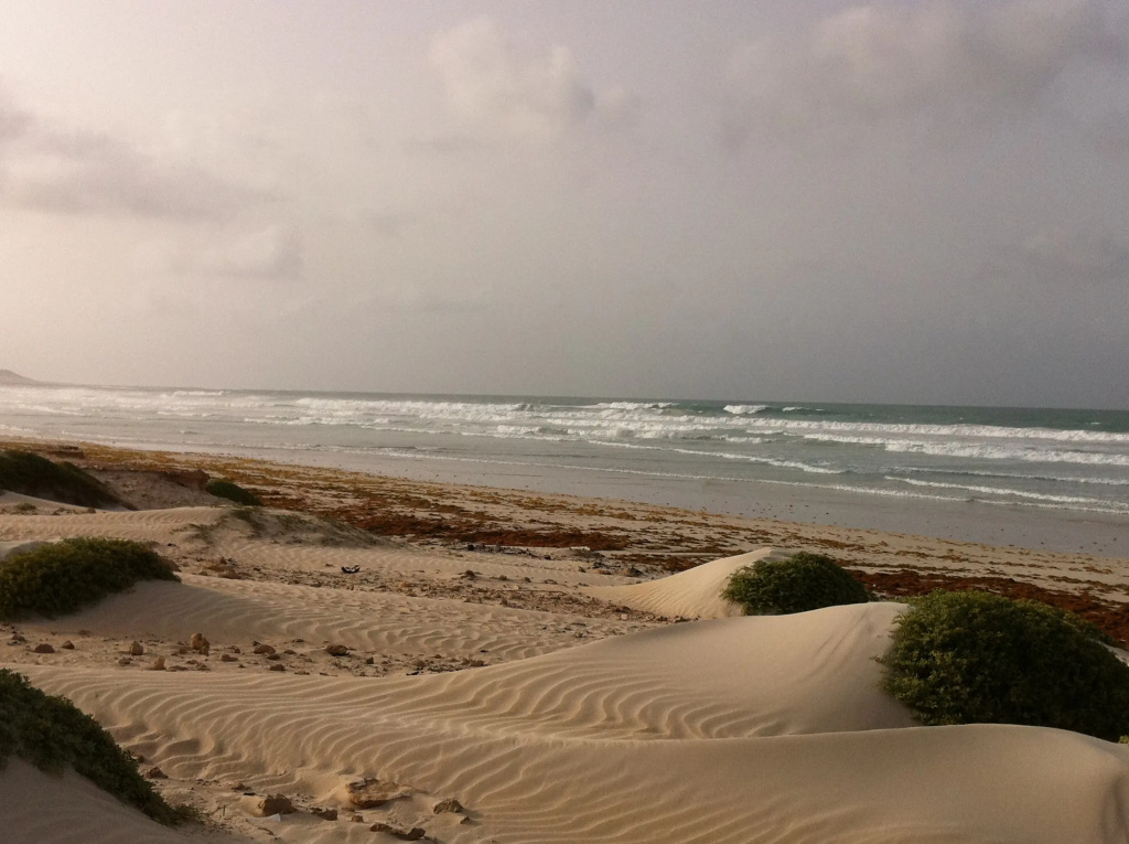 Hotel photo 37
