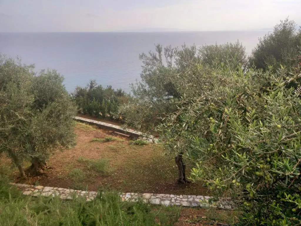 Hotel photo 41