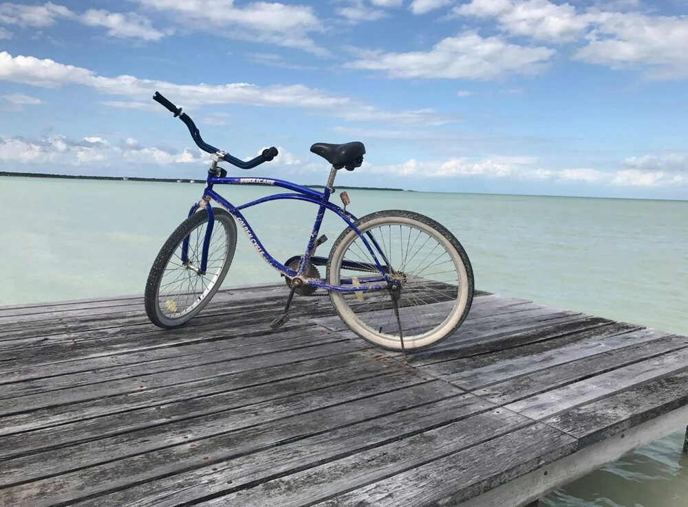 Beach & Waterfront