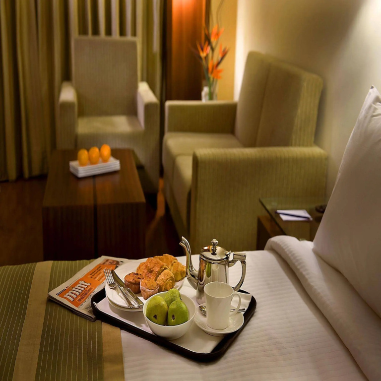 Park Inn, Gurgaon - Général
