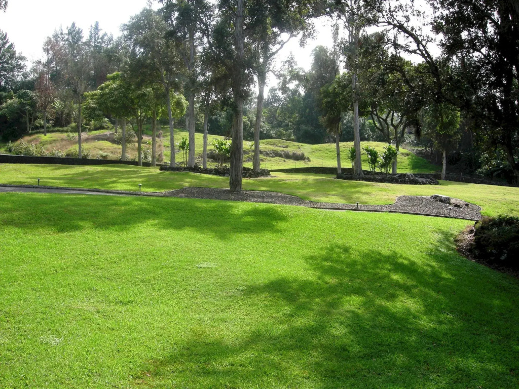 Ohi'a Park Estate - Général