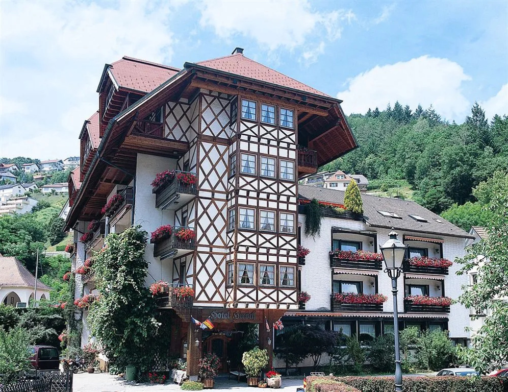 Hotel Hirsch - Général