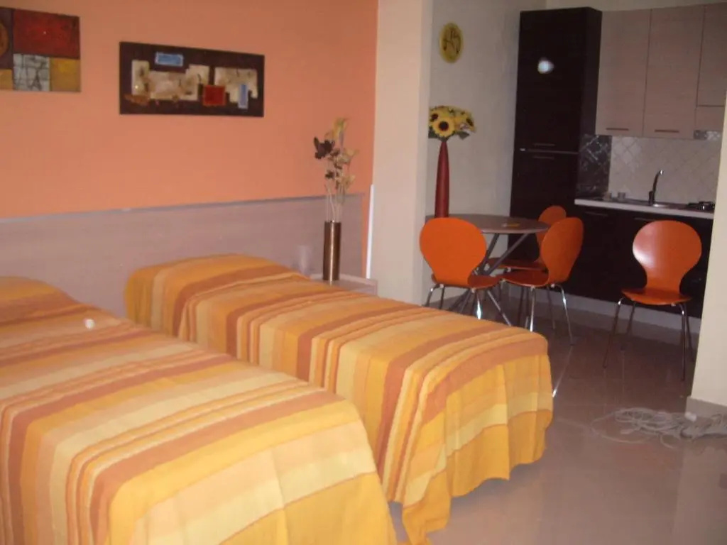 Standard Double room (full double bed)