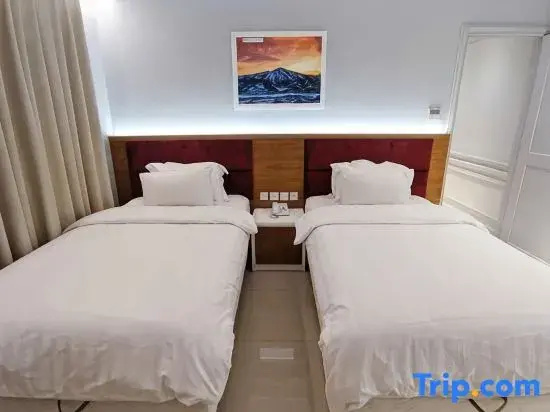 Double Junior Suite (twin beds)